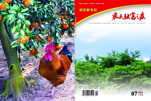 2024年下旬刊.jpg
