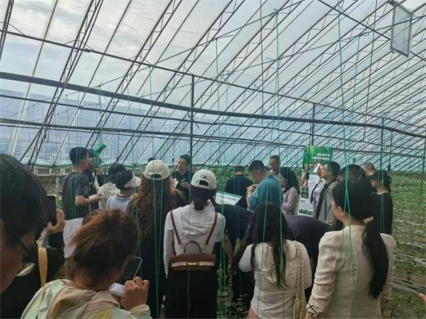 图2.jpg