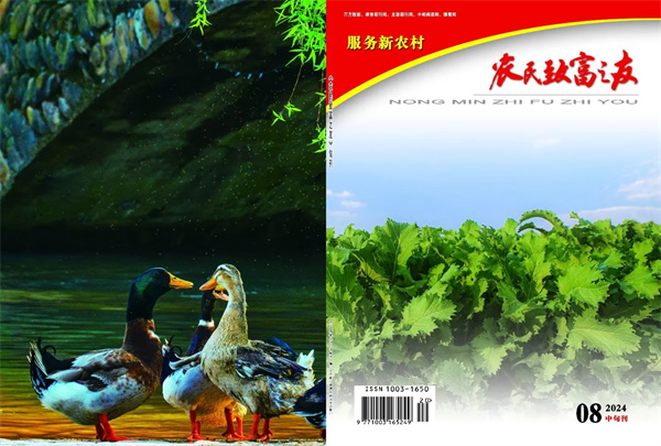 8月中旬刊.jpg