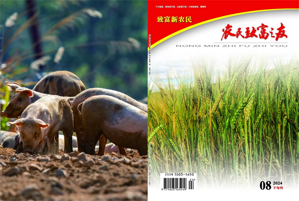 8月下旬刊.jpg