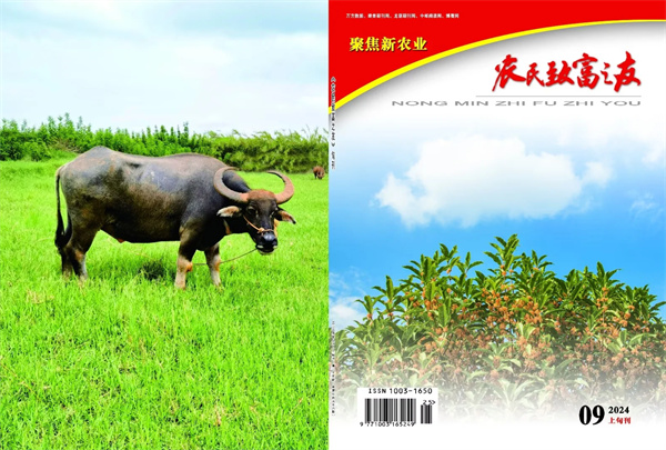 9月上旬刊.jpg