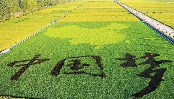 经济 ：中国梦.jpg