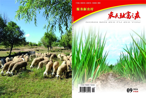 9月中旬刊.jpg