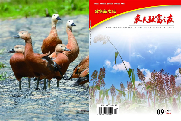 9月下旬刊.jpg