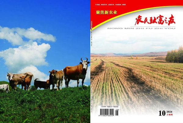 2024年10月上旬刊.jpg