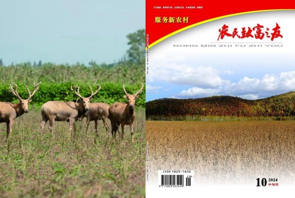 2024年10月中旬刊.jpg