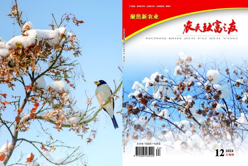 2024年12月上旬刊
