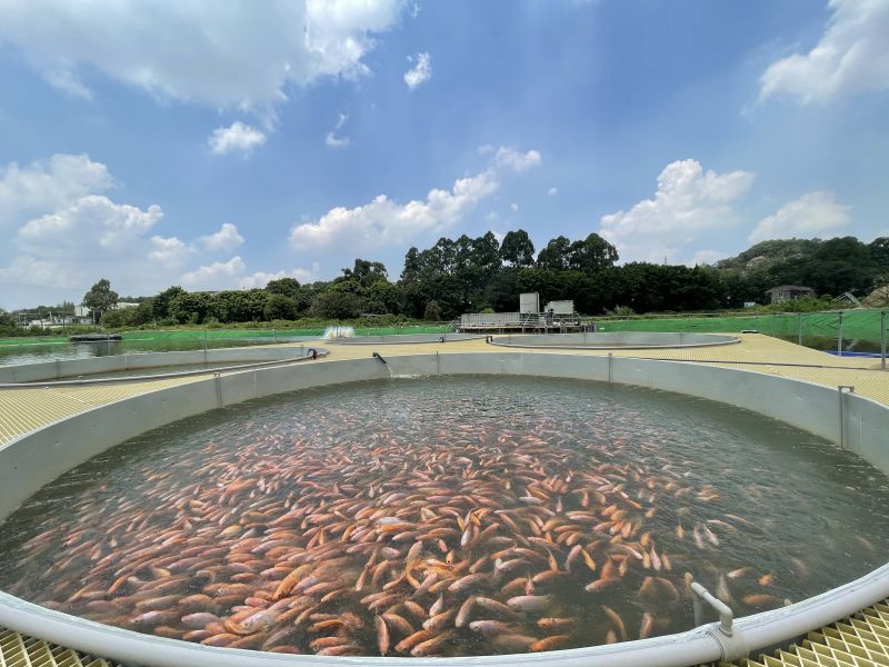 水产养殖1.jpg