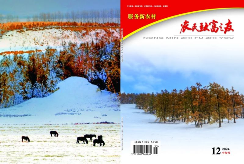2024年12月中旬刊