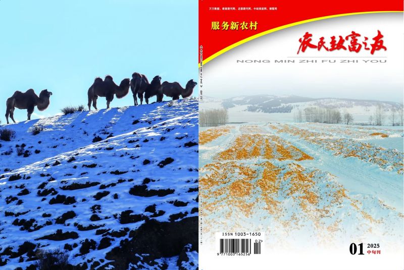 2025年1月中旬刊