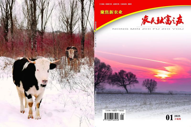 2025年1月上旬刊
