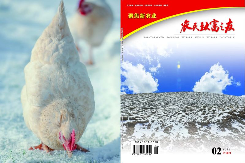 2025年2月上旬刊