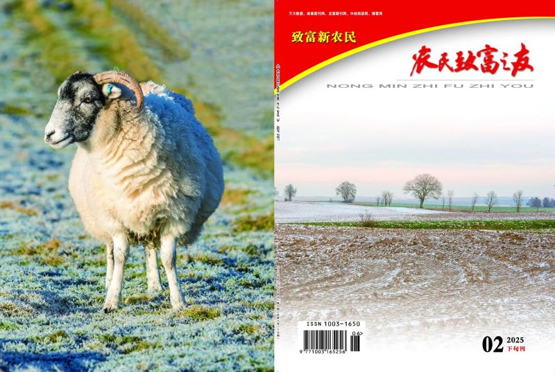 2025年2月下旬刊