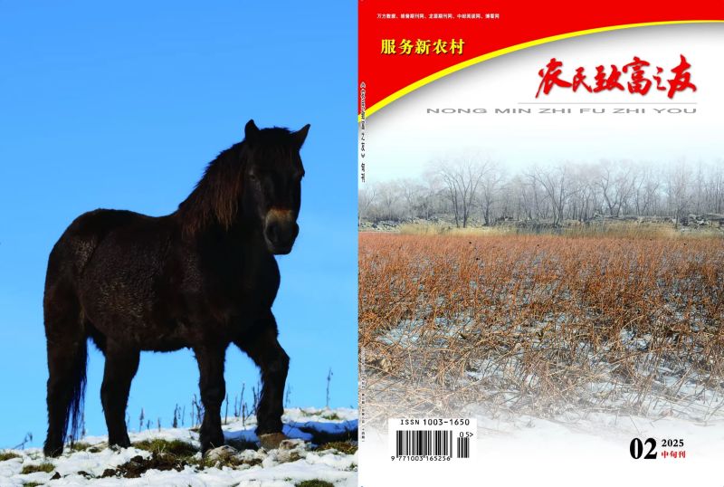2025年2月中旬刊