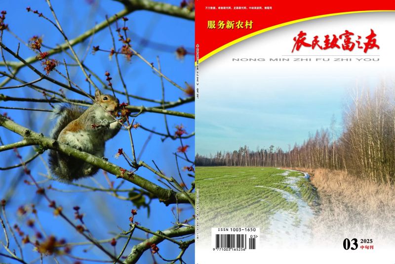 2025年3月中旬刊