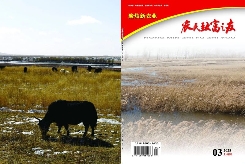 2025年3月上旬刊