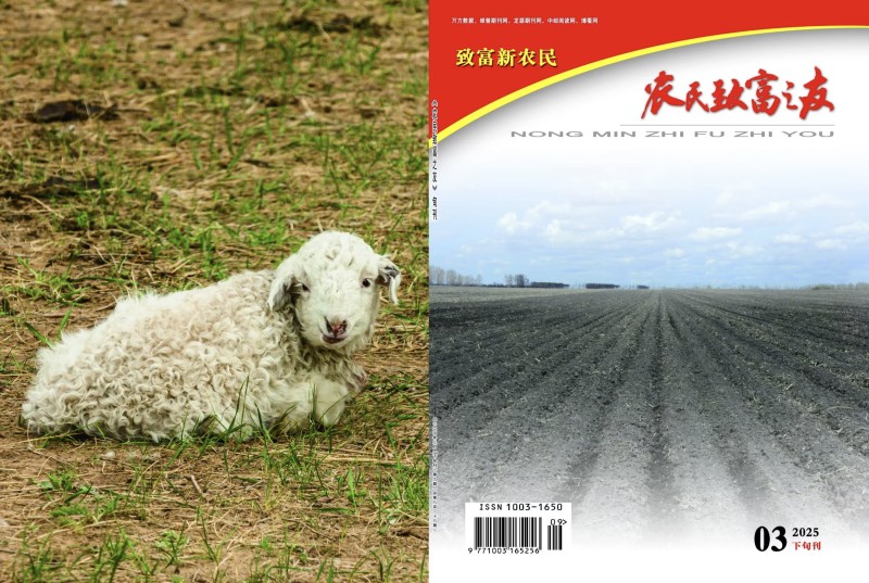 2025年3月下旬刊