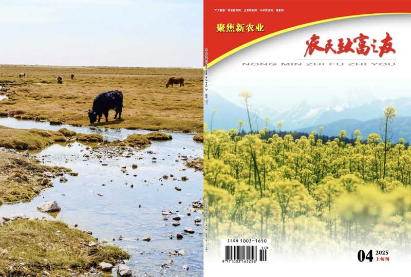 2025年4月上旬刊