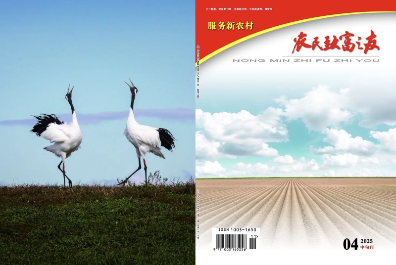 2025年4月中旬刊