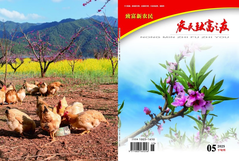 2025年5月下旬刊