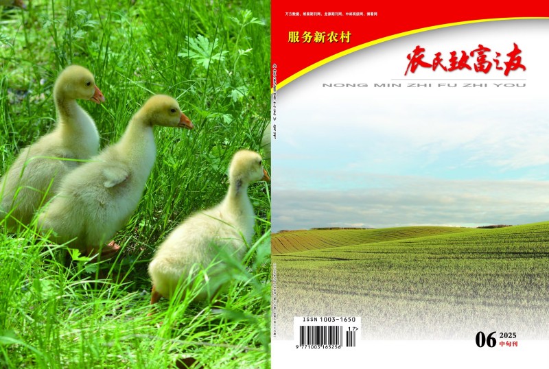 2025年6月中旬刊