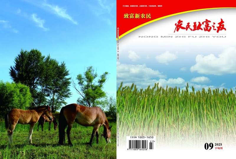 2025年9月下旬刊