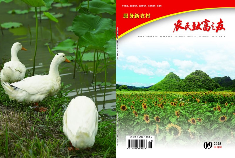2025年9月中旬刊