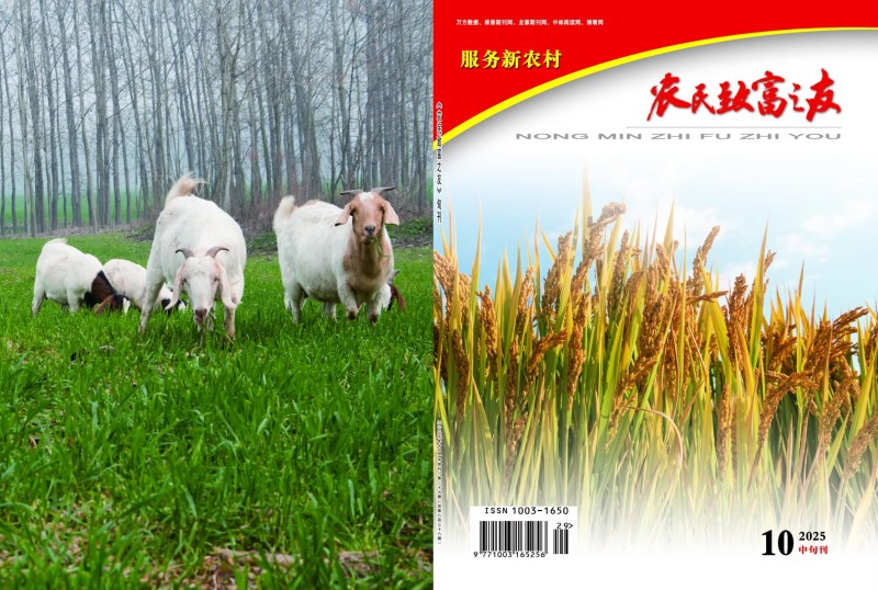 2025年10月中旬刊