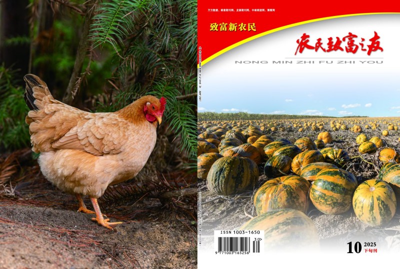 2025年10月下旬刊