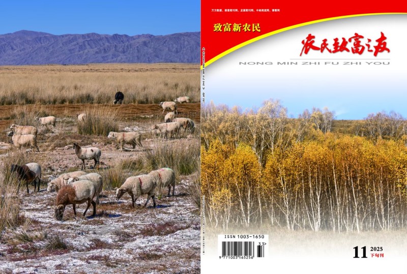 2025年11月下旬刊