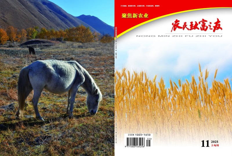 2025年11月上旬刊