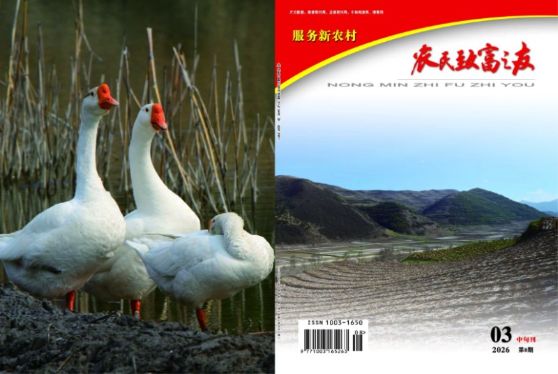 2026年3月中旬刊