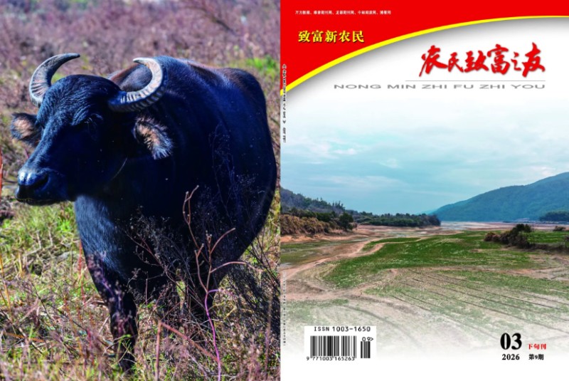 2026年3月下旬刊