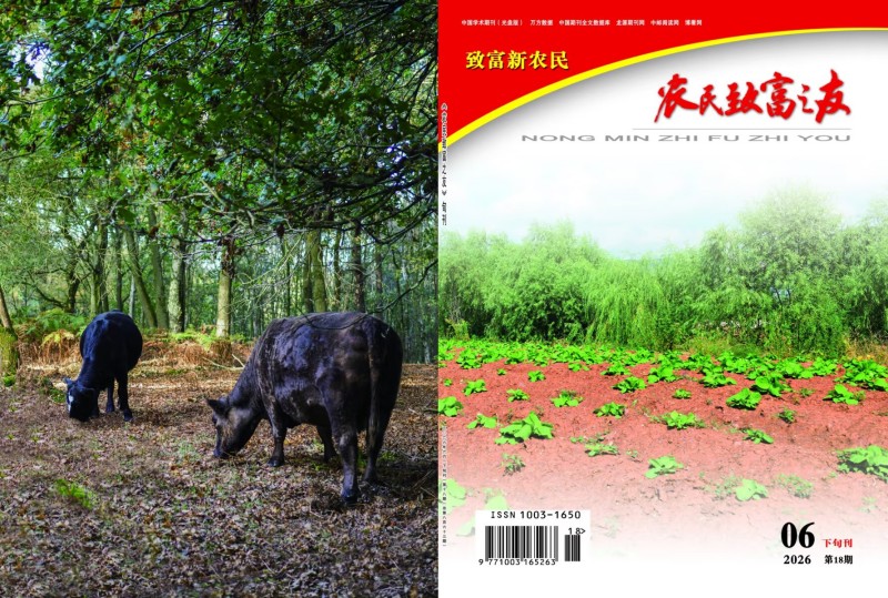 2026年6月下旬刊