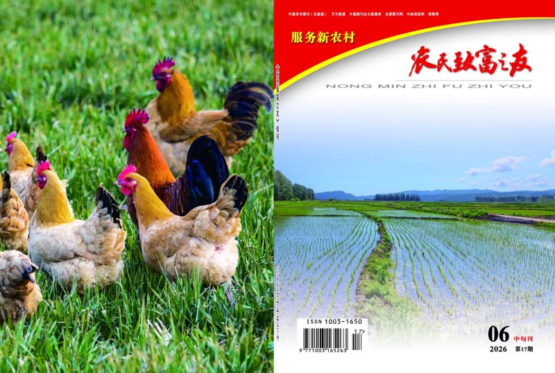 2026年6月中旬刊