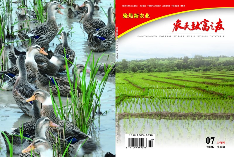 2026年7月上旬刊