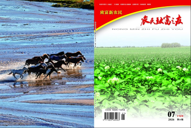 农友第21期7月下.jpg