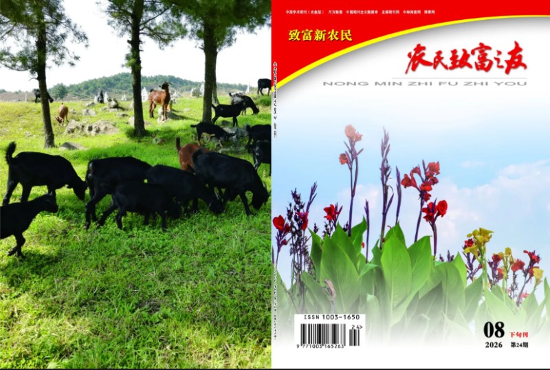 农友第24期8月下.jpg