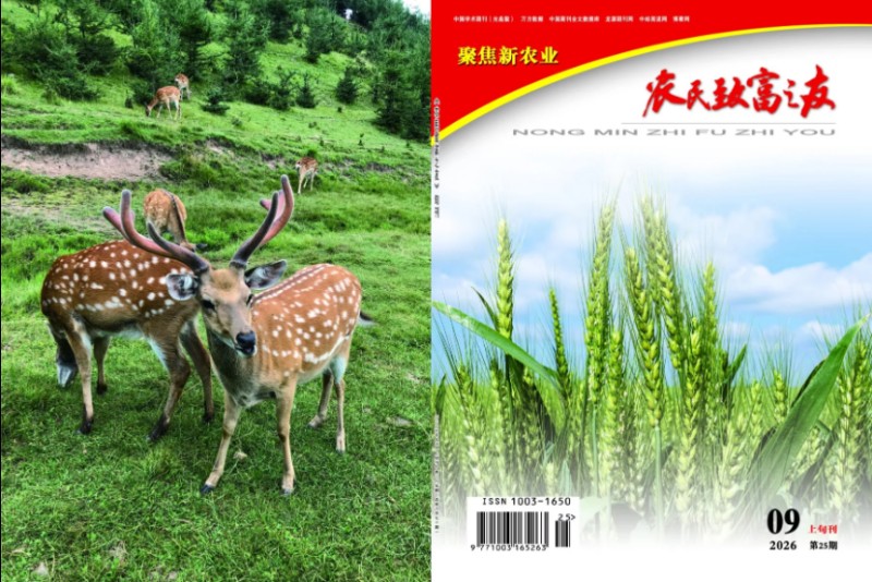 农友第25期9月上.jpg